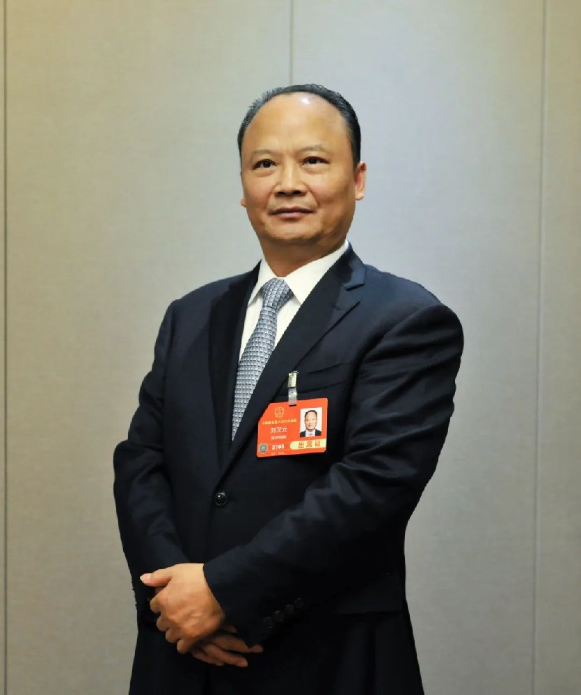 全國人大代表劉漢元：建議擴大國內光伏裝機，推進 “3060” 目標達成